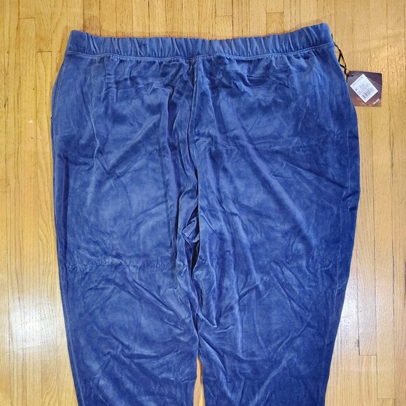 NWT Ava & Viv Blue Velour Track Pants - Picture 1 of 7